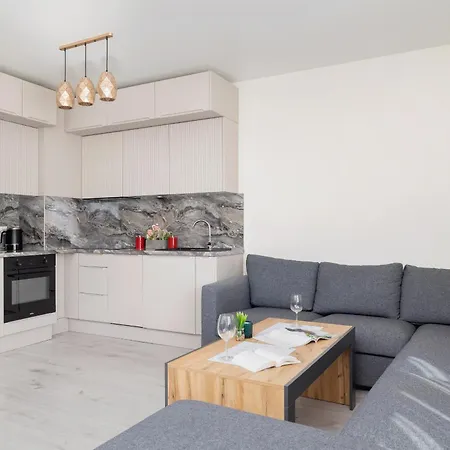 Beautiful & Spacious 1 Bedroom Apartament With Balcony By Renters 公寓
